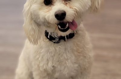 Congratulations, Bailey!