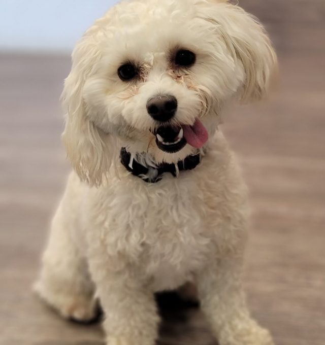 Congratulations, Bailey!