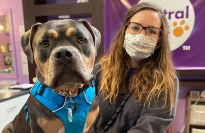 How Central Bark Rebounded After the Onset of COVID-19