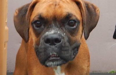 Congratulations Stella