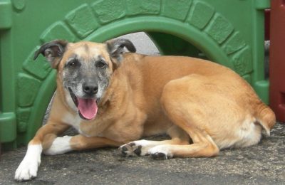 Congratulations Gloria