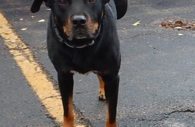 Congratulations Rookie