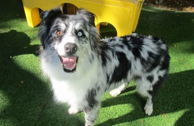 Congratulations, Oliver!