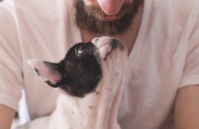 Can Dog Ownership Help With Heart Disease Prevention?