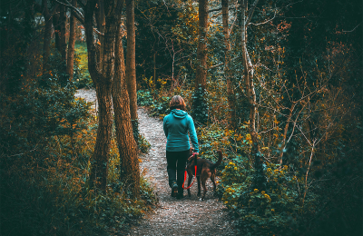 central-bark-dog-wallking
