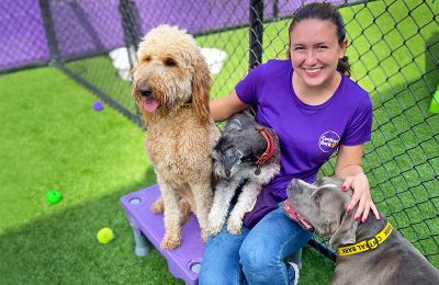 Should you Board Your Dog for Summer Vacation?