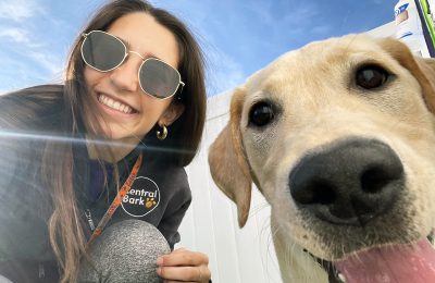 10 Friendliest Dog Breeds That People Love