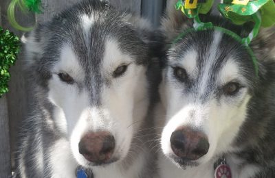 Congrats Kiba & Haku!