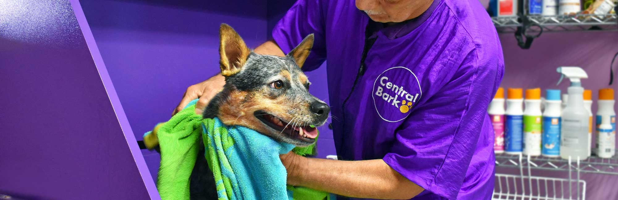 dog grooming in Kenosha