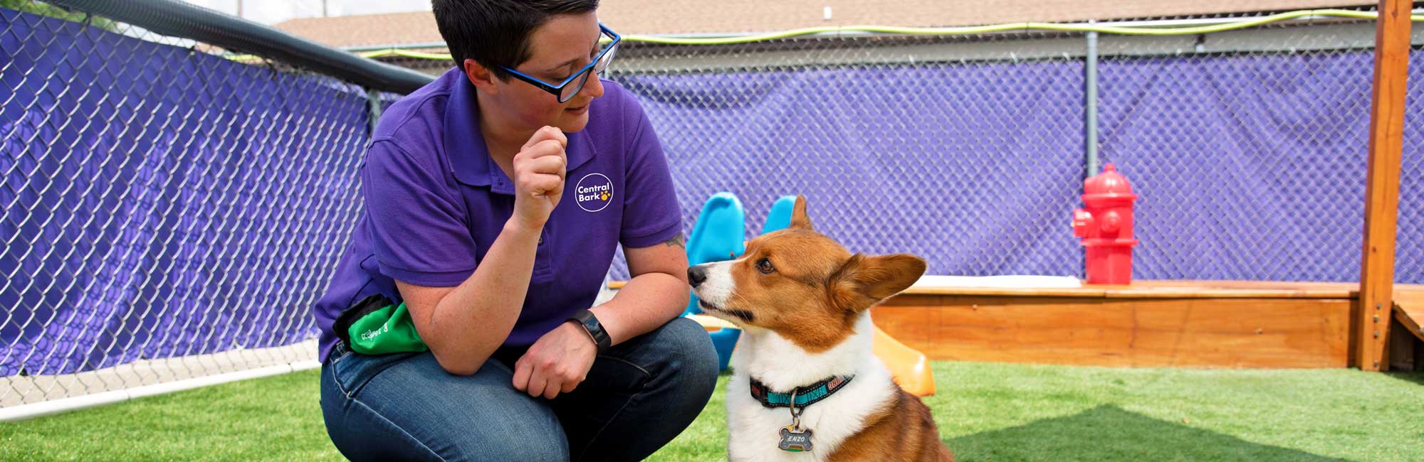 dog training at Central Bark Kenosha