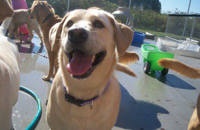 Congrats, Daisy!