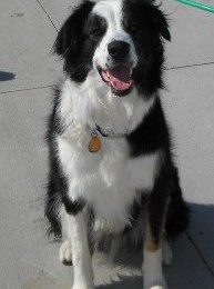 Congrats, Samson!