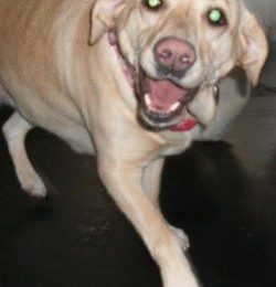 Congrats, Greta!