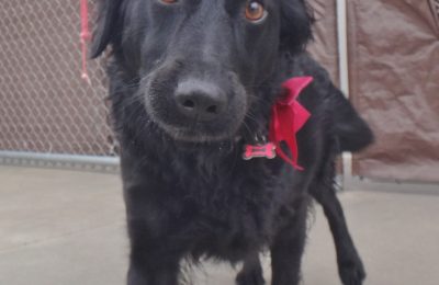 Congrats, Olive!