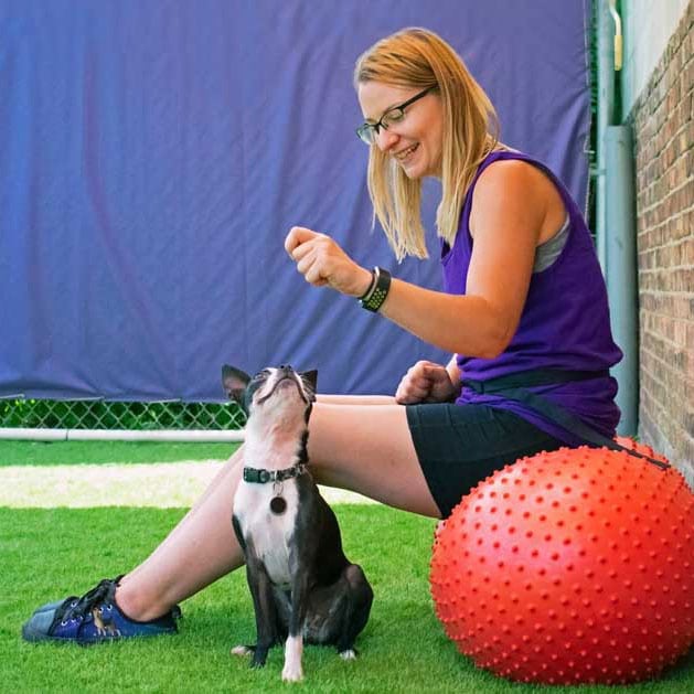 Central Bark trainer with dog