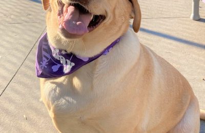 Barney