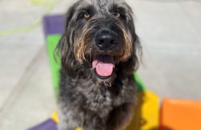 Otis