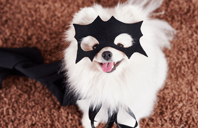 Halloween Tips