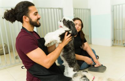 A trained staff member interacting with a happy dog, demonstrating why is doggy daycare good for dogs' safety.