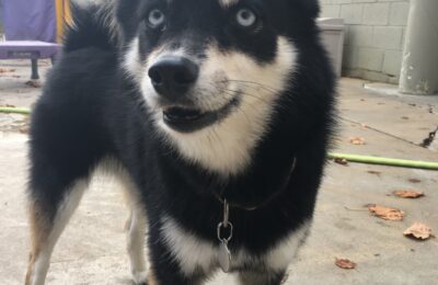 Congrats Sky!