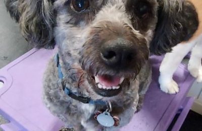 Congrats Pepper!