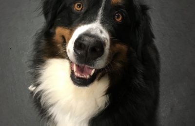 Congrats Gertie!