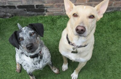 Congrats, Chester & Randy!