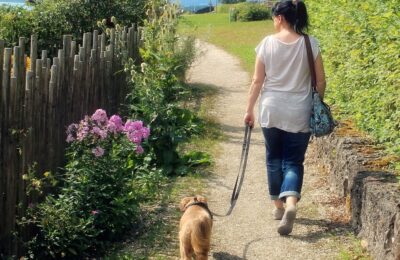 Why Dog Walking Makes You Happier