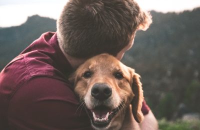 It’s National Adopt-a-Dog-Month