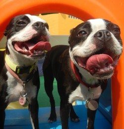 Congrats, Rosy & Rudy!