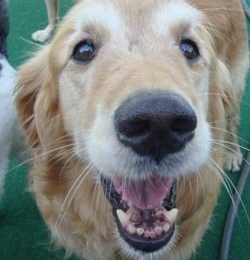 Congrats, Chancey!