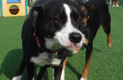 Congrats to Hunter and Bailey!!