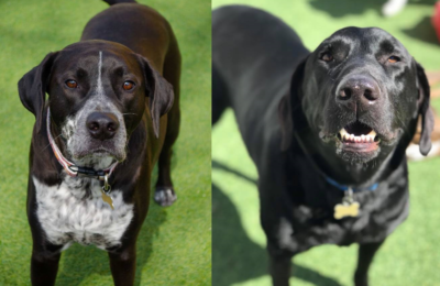 Back to School with Otis and Briar!