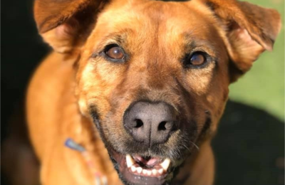 Sugar, Spice and Everything Sofi!