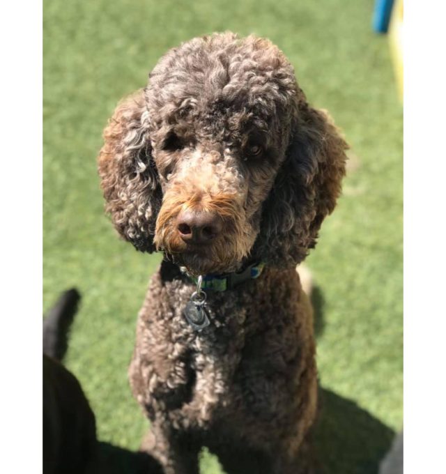 Congratulations, Reece!