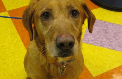 Congrats, Daisy!