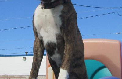 Congrats Delilah!