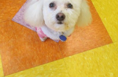 Congrats Daisy!