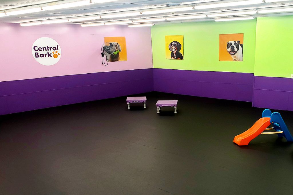 Doggy Daycare New Berlin, WI Central Bark New Berlin, WI
