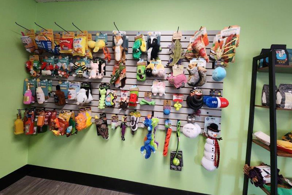 Variety of Toys for dogs at central bark New Berlin, WI
