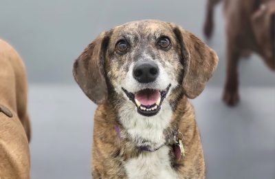 Congrats Dixie!