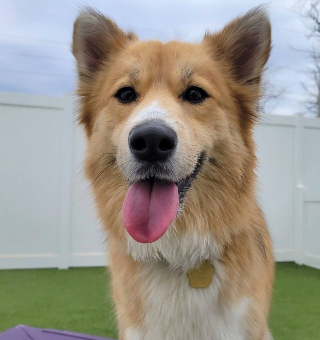 Congrats, Roxy!