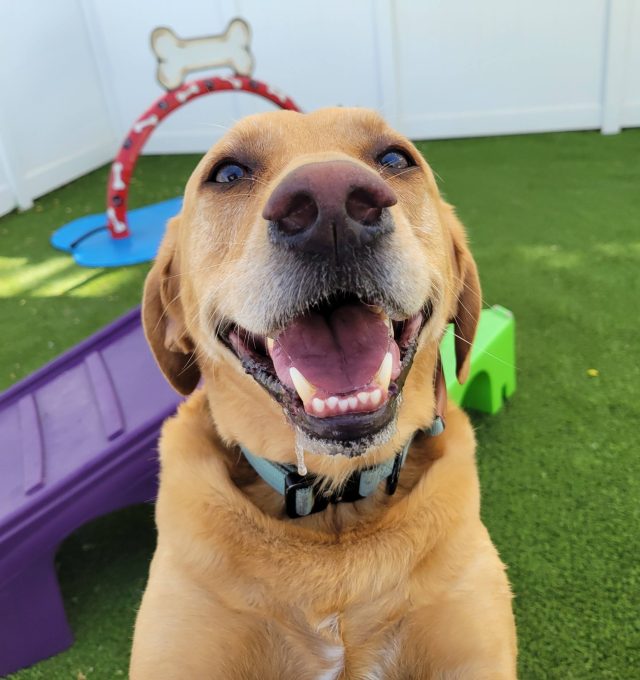 Congrats, Stella!
