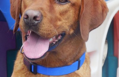 Congratulations, Zeus!