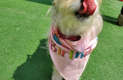 Congratulations Penny!!