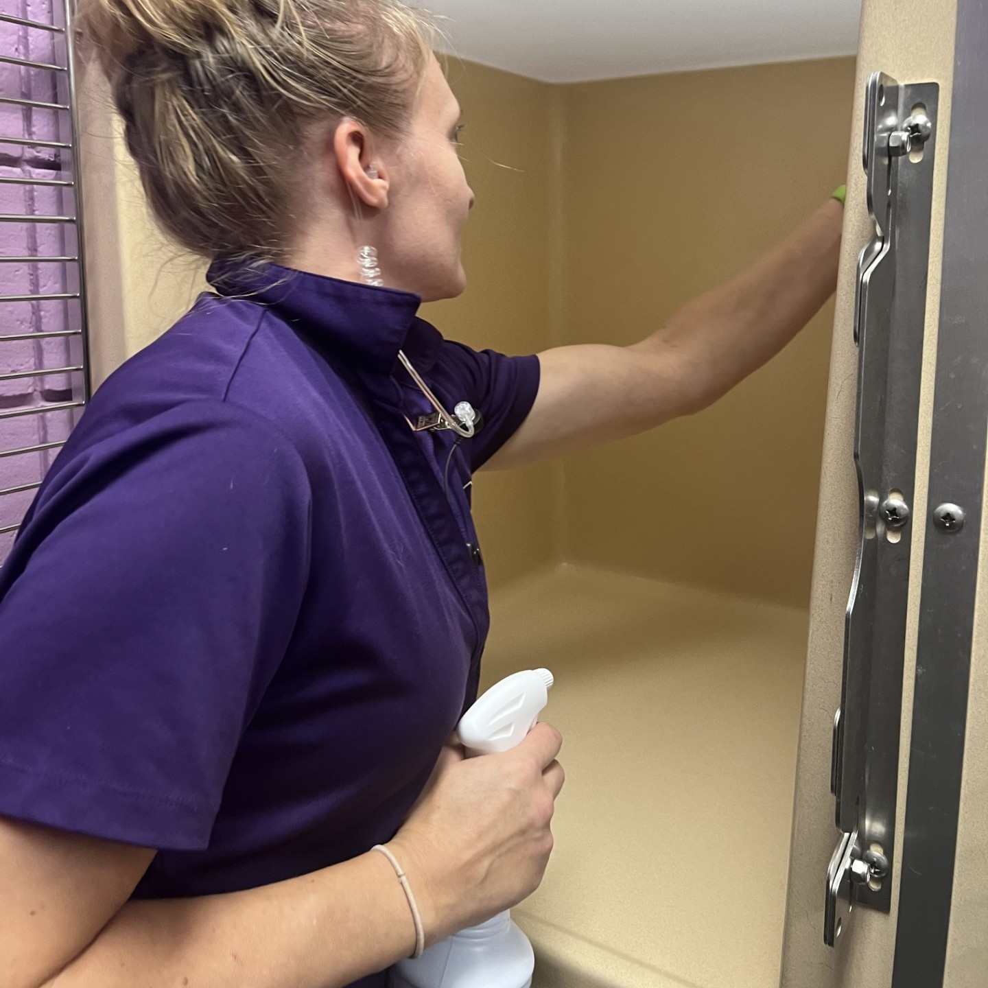 dog daycare safety means clean places to rest and play