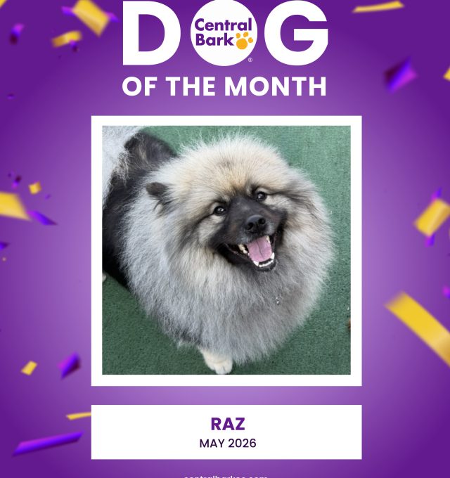 May Dog of the Month: Raz