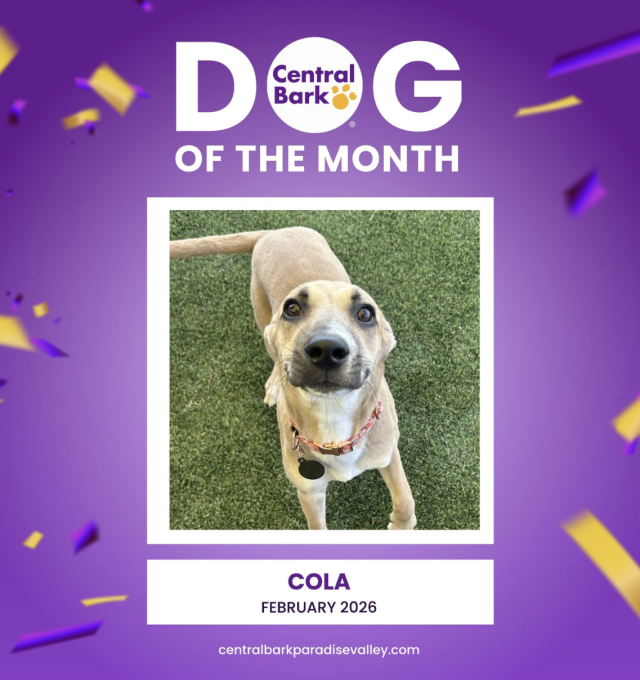 February Dog of the Month: Our Wiggle-Powered, Shoelace-Testing Superstar