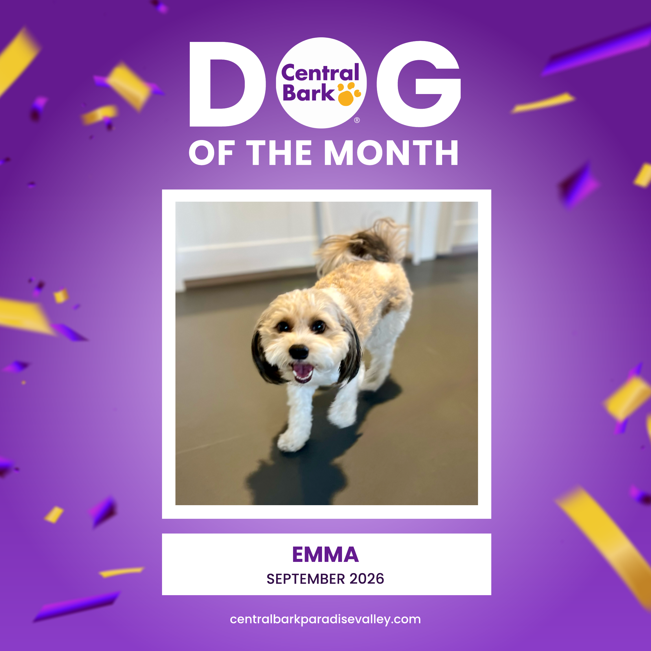 Emma is the September Dog of the Month