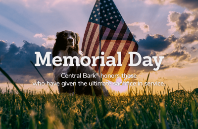 Military Dogs and Memorial Day
